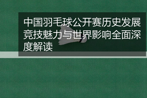 中国羽毛球公开赛历史发展竞技魅力与世界影响全面深度解读