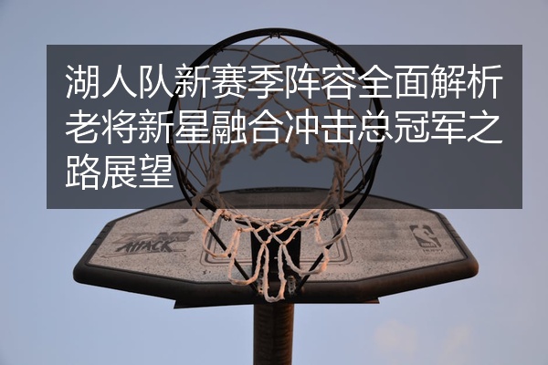 湖人队新赛季阵容全面解析老将新星融合冲击总冠军之路展望